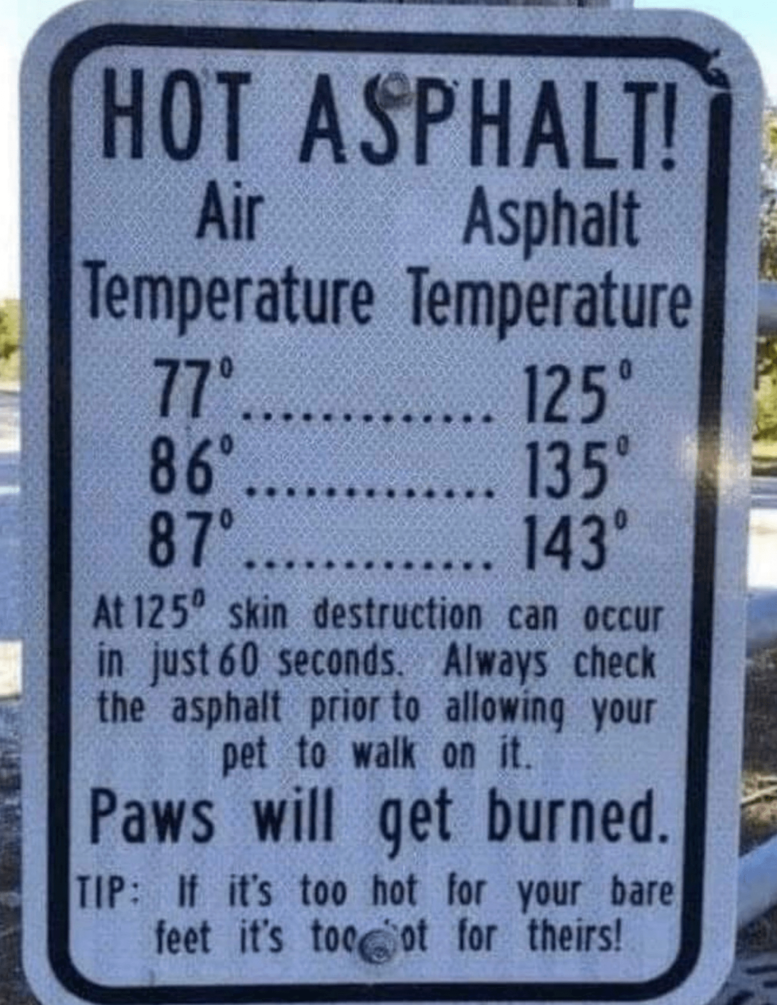 shows the tempeture difference between air and asphalt for you dog's paws